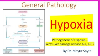 Pathogenesis of Hypoxia [upl. by Thor]