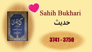 Sahih Bukhari Hadees in Urdu 37413750 Islamic Books Hadees💗💛 [upl. by Enogitna60]