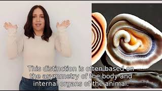 what is the difference between dextral and sinistral shells [upl. by Tatianna]