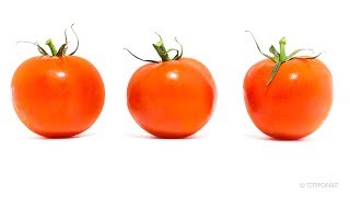 Why Rotten Tomatoes Is A Complete Lie  Scandal EXPLAINED [upl. by Junji]