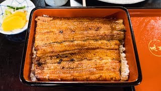 Unagi うなぎ  GRILLED EEL Japanese Food at Obana Restaurant 尾花 in Tokyo Japan [upl. by Rosenbaum]