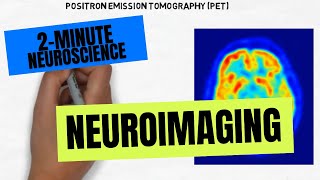 2Minute Neuroscience Neuroimaging [upl. by Tebzil]