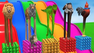 Long Slide Game With Elephant Gorilla Buffalo Hippopotamus Tiger  3d Animal Game  Funny 3d Animals [upl. by Ardnuyek]