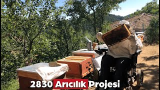 IPARD DESTEKLERİ İLE ÜRETİM DEVAM EDİYOR [upl. by Atiekram551]