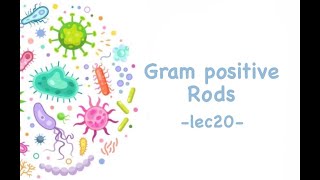 Gram Positive Rods General Microbiology [upl. by Akinoj470]