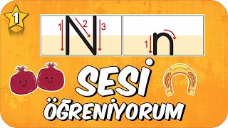 N Sesi Öğretimi 🌿 Okunuşu ve Yazılışı ✍🏻 1Sınıf 2025 [upl. by Lizned]