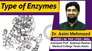 Types of Enzymes  Parts of Enzymes  Hindi  Urdu [upl. by Urias]