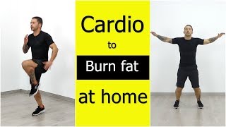 Cardio trainnig to burn fat at home [upl. by Berke]