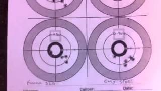 22lr rimfire ammo test comparison cci rws fiocchi Ely [upl. by Rehpotsrihc]