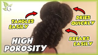 Is your hair HIGH POROSITY How to know  Care tips [upl. by Ard664]