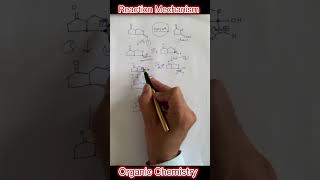 Acid Catalyzed Hydrolysis of Cyclic Ester  Organic Reaction Mechanism  JEE  Shorts [upl. by Eittol]