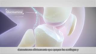 de Salud de las Articulaciones Nutrilite [upl. by Onailil]