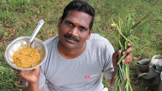 PIRANDAI THUVAIYAL  பிரண்டை துவையல்  BALAJIS KITCHEN [upl. by Eifos141]