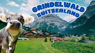 Get to know a little about Grindelwald Switzerland [upl. by Eltsyrhc437]