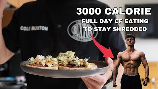 What I Eat to Stay Shredded  Full Day of Eating 3000 Calories [upl. by Notreb]