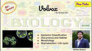 Volvox  Morphology and Life cycle  Bsc  Free PDF notes  by Viologia EXtrema [upl. by Devlen]