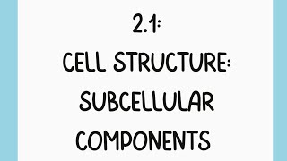 ✨AP Bio Topic 21 Part 1 TikTok Cell Structure Subcellular Components✨ [upl. by Groh625]