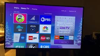 TCL 55Inch BEST 4K TV S425 4Series Review 6 Months Later [upl. by Etnuad]