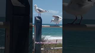 Port Noarlunga [upl. by Sheffie]