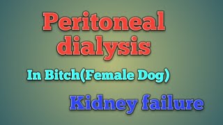 How can perform Peritoneal dialysis in case of female dog [upl. by Neeluj712]