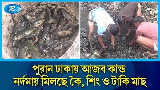 পুরান ঢাকায় নর্দমা থেকে দেশি মাছ শিকার করছে শ্রমজীবী মানুষ  Old Dhaka  Fish  Rtv News [upl. by Acirret542]