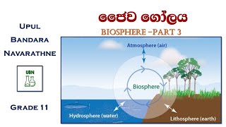 Carbon and Nitrogen Cycles  කාබන් හා නයිට්‍රජන් චක්‍ර [upl. by Urson]