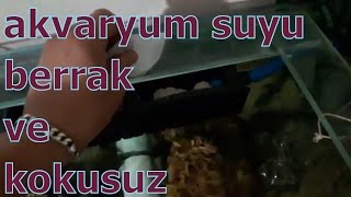 akvaryum suyu berraklaştırma nasıl olur  akvaryum balıkları [upl. by Libbey251]