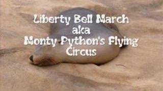 The Liberty Bell March [upl. by Corydon]