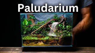 I Made a Paludarium With a Working Waterfall Here’s How [upl. by Dorweiler857]