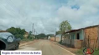 Região de Irecê Bahia terra molhada clima bom [upl. by Eltsryk373]