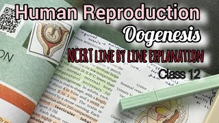 Oogenesis NCERT line by line explanation  Part 5 [upl. by Mcginnis]