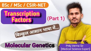 Transcription Factors  Promoters Enhancers Repressors  हिंदी में  BSc MSc CSIRNET [upl. by Annua]