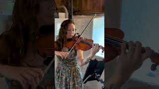 Iron amp Wine  Flightless Bird American Mouth The Fox Music Violin Cover [upl. by Gherlein660]