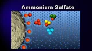 Bioprocessing Part 3 Purification [upl. by Oneida]