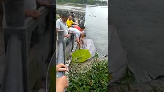 Action to fish 💯🔥🤪 fishing rbc fish rbcc 😲 move baliq baby [upl. by Rratsal]