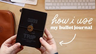 how im using my passport bullet journal ✸ 2024 passport travellers notebook setup [upl. by Osithe256]