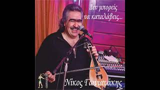 Νίκος Γωνιανάκης  Έχασα Εκείνη Που Αγαπώ  Official Audio Release [upl. by Luana]