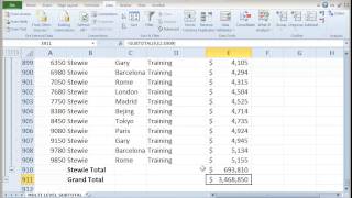 Multiple Level SubTotal in Excel [upl. by Albarran183]