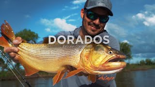 Pesca de dorados con carnada y con señuelos Casablanca Esquina [upl. by Eleira156]