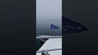 Lake Constance catamaran ferry across the lake Autumn2024 Germany youtube travel funny shorts [upl. by Caras]