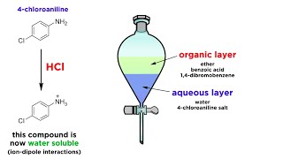 Separating Components of a Mixture by Extraction [upl. by Eintihw292]