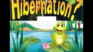 Hibernation Definition for Kids  ToddlersKindergartenPreschoolers [upl. by Nayve]