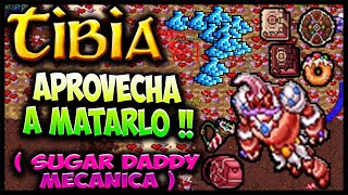 SUGAR DADDY BUEN LOOT DATE PRISA  TIBIA [upl. by Lauro]