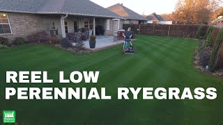 Reel Low Perennial Ryegrass  December 2017 full length [upl. by Trocki]