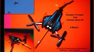 SCORPION TRICOPTER Y6 from Common Sense RC [upl. by Nrubliw]