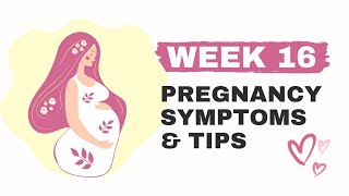 Week 16 of pregnancy  ഗർഭത്തിൻറെ 16ാം ആഴ്ച [upl. by Evita]