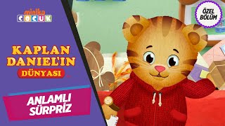 Kaplan Danielın Dünyası 🐯  Anlamlı Sürpriz  MinikaÇOCUK [upl. by Iyre314]