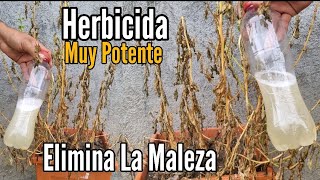 Potente Herbicida Pará Eliminar la Maleza 🌿 [upl. by Olen75]