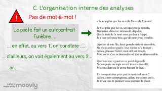 Leçon n° 4 Comment structurer une analyse linéaire [upl. by Sarina]