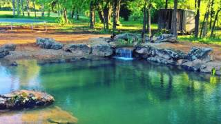 Backyard Swim Pond That Stays Crystal Clear Water In DFW Texas [upl. by Penney]